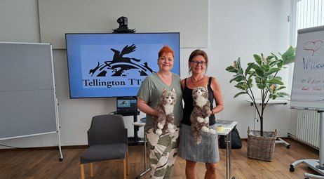Tellington TTouch Seminar für  Katzen