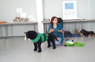 Tellington Körperbänder Seminar für Hunde